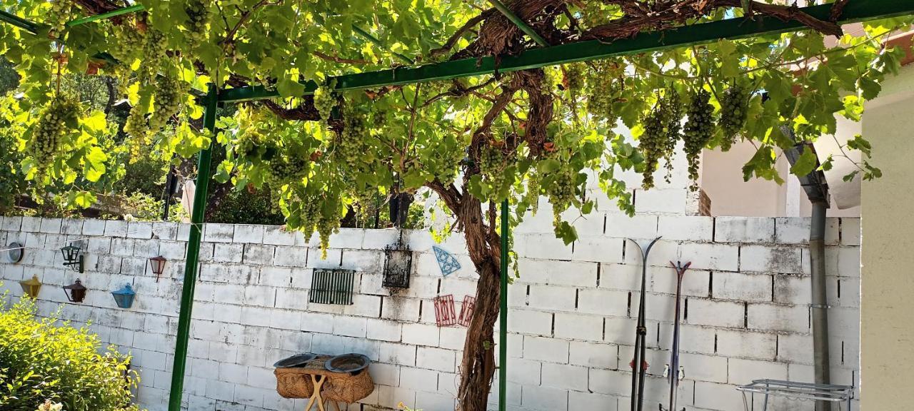 La Parra De Pepa ξενώνας Cercedilla Εξωτερικό φωτογραφία